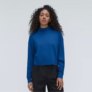 Everlane luxe merino turtleneck - plum